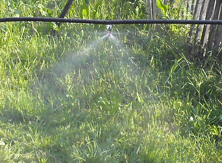 Sprinkler
